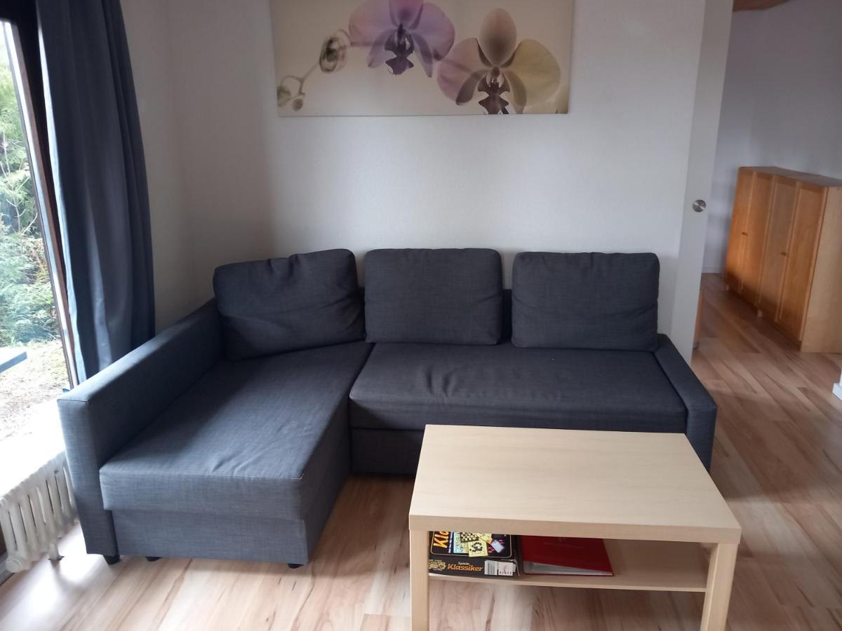 Haus Heidelberg Apartment Feldberg  Luaran gambar