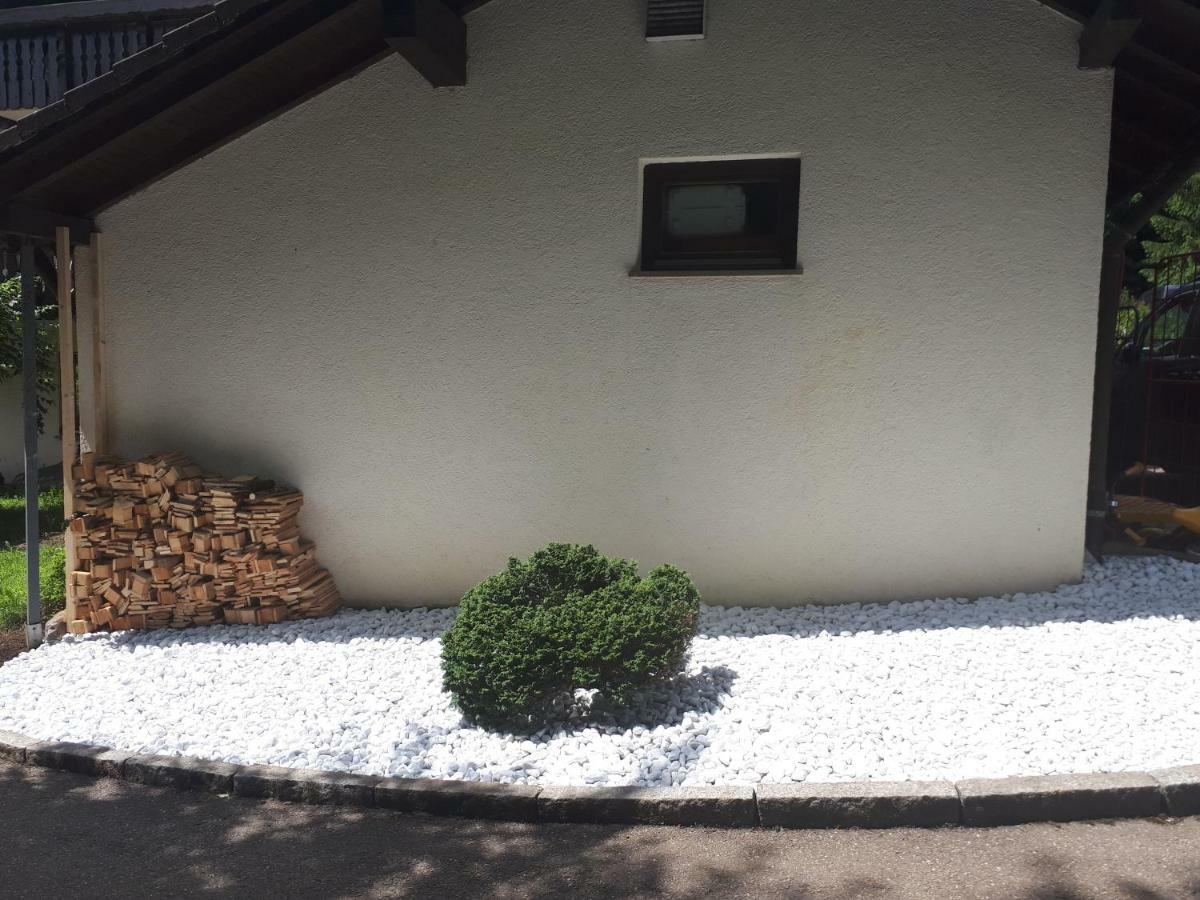 Haus Heidelberg Apartment Feldberg  Luaran gambar